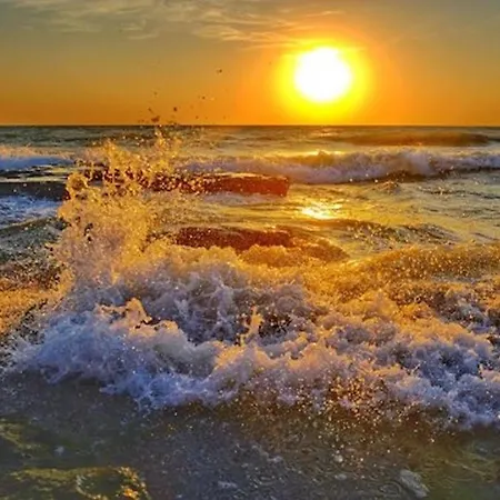 Sunrise Eagle